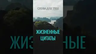 Мудрые Слова | Жизненные Цитаты | Мудрые Мысли #мудрость #цитаты #шортс