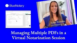 Managing Multiple PDFs in a Virtual Notarization Session | Blue Notary