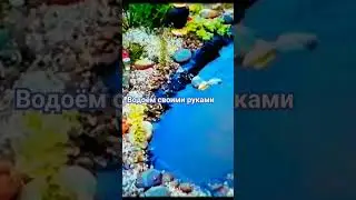 Водоём за 2 дня своими руками.