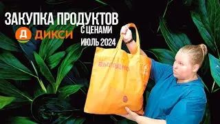 ЗАКУПКА ПРОДУКТОВ С ЦЕНАМИ  👛 ИЮЛЬ 2024✨ ЧТО В МОЕЙ КОРЗИНЕ 🛍 ДОСТАВКА ДИКСИ 😍 ЗАКУПКА НА НЕДЕЛЮ