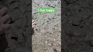 I Got Crab's On          Holiday