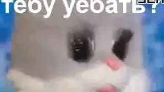 Ужасной ночи говнюки! RYTP