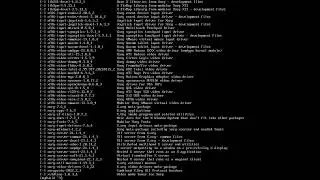 Package not found in repository pool Void linux | How to fix it?