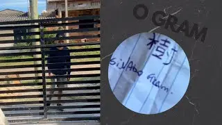 RECEBEMOS UMA CARTA MISTERIOSA - QUEM É GRAM?