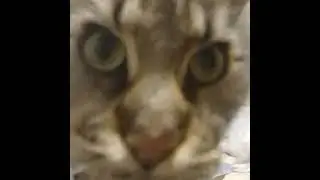 делаю модельку на телефоне