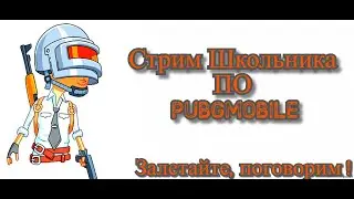Школьник Игрет В  "PUBG MOBILE".