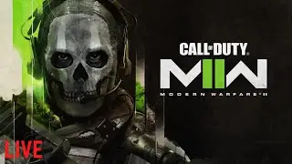 MW2 Grinding Camos Platinum 4/51 Gold 18/51 Complete