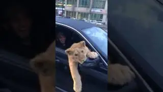 Laugh Funny Video 1