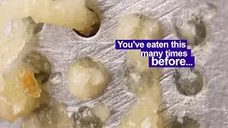 The crushed garlic that you eat every day seen up close