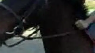 Bad Jumping Horse & Bad Rider Jumping!!