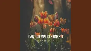 Sole Sorgi