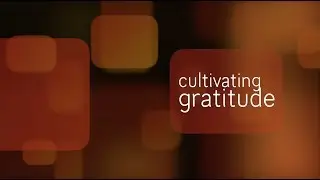 Part 11 of 16: Cultivating Gratitude
