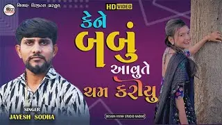 kene baka avu te cam karyu  jayesh sodha live program