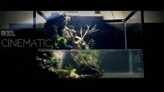 FOOTAGE VIDEO CINEMATIC VERSI APK ANDROID