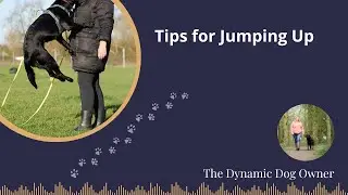 Jumping up