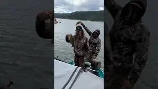 Double smallies!  #small mouthfishing #fishing #bass #bassfishing