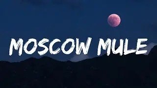 Bad Bunny - Moscow Mule (Letra_Lyrics) _ Un Verano Sin Ti