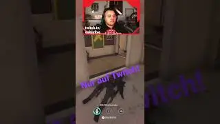 Folgt mir auch auf Twitch!
