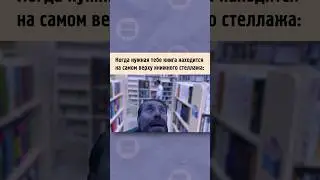 Малорослым книголюбам нелегко🤣..#книги#мэм#чтение#литература#вильямдефо