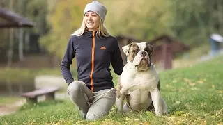 FDT PRO ‘Pep Style’ Zip Up Hoodie - Dog Trainer Style