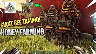Taming Giant Bees And Starting A Honey Farm! ARK Lost Island