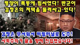 긴급! 평양이 폭동에 휩싸였다! 반군이 김정은의 저택을 둘러싸고 있다! 김정은 무서워서 비밀터널로 도주! 사회주의가 끝을 향해 진입했습니다!