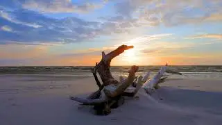 Video Background | Sea View | 4K | 100% Free Background Video Loop | HD | Animation Video