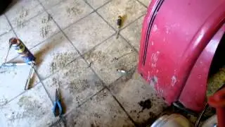 Zim