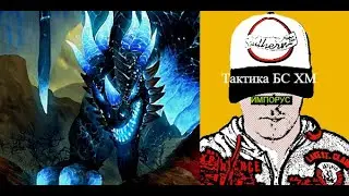 Тактика БС 25 Хм. Импорус. Сирус х2