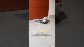 ella nunca estuvo preparada para verlo crecer