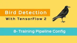 8- Object Detection with Tensorflow 2 - Training Pipeline Config