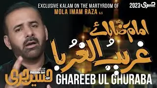 Imam Raza Noha by Hussain Jari | Muharram 2023 Nohay |Shahadat Maula Imam E Raza شہادت مولا امام رضا