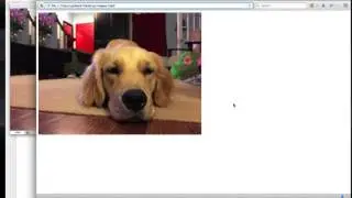 Images in HTML