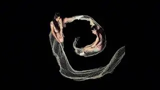 Caroline Polachek - Butterfly Net (ft. Weyes Blood) (Stem Version)