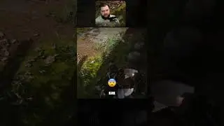 Внутригоршечный шейдинг Black Myth: Wukong