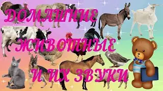 Учим Домашних Животных/ Звуки Домашних Животных для малышей/ Развивающие видео для самых маленьких.