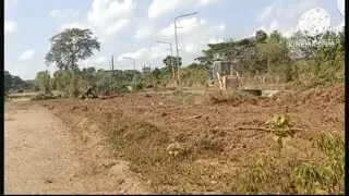 Dozer Finest clearing grass