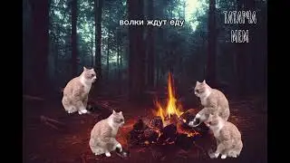 Татарча мем: Пересказ мемами сказки Габдуллы Тукая "Коза и Баран" #татары #татарстан #татарскийязык