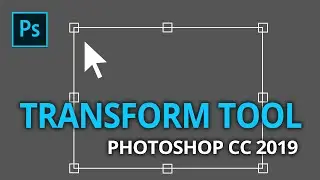 How to  Free Transform in Adobe Photoshop CC 2019 - Photoshop Free Transform