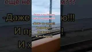 Ты почему ещё не замужем #юмор #афоризмы #цитаты #приколы