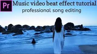 How to music video beat effect in premiere pro 2022