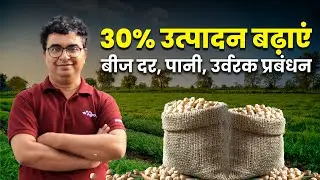 चने की खेती | चने की बुवाई कब और कैसे करें | Chane Ki Kheti | AgroStar