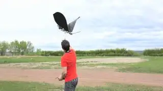 The Amazing Ornithopter: SK Slow Hawk