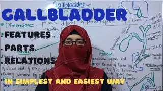 Gallbladder anatomy | Features | Parts | Relations | @ayeshamedicaleducation