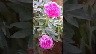 29 июня 2024 г.