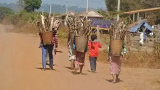 Cambodia Typical Village Life // Everybay Life