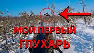 Охота на глухаря с лунки ХМАО 2023