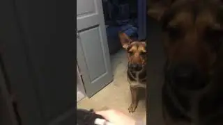 He protecc