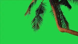 Tree green screen video, Green screen tree, tree green screen effect kinemaster, P-29
