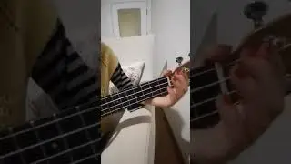 ukulele ile arı vız vız vız şarkısı